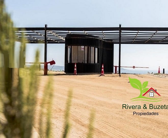 486555214_1189950549800363_985812232964808629_n